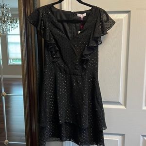 BNWT Parker women’s dress size small